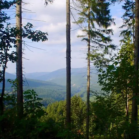 Apartmán Bílý Kříž *